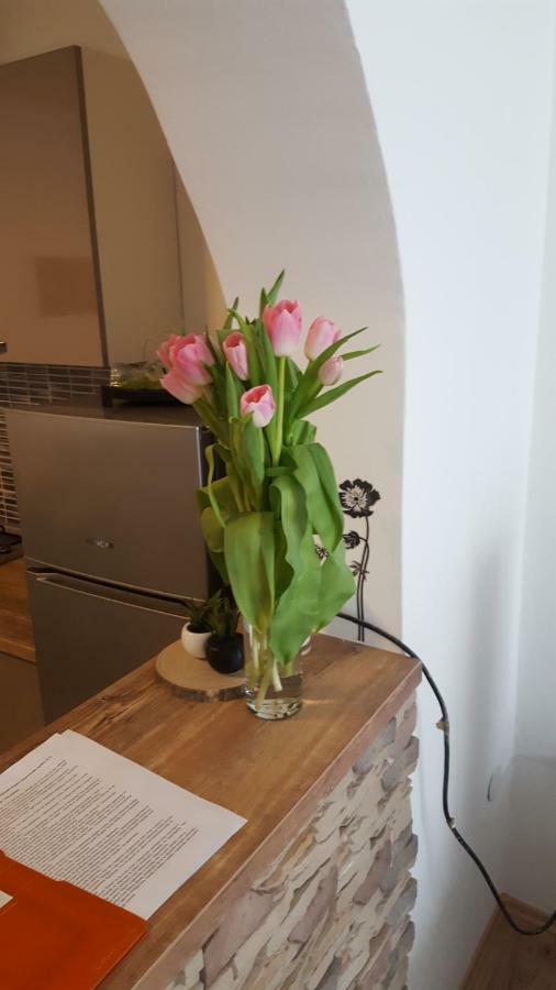 Apartman Tara Zagabria Esterno foto